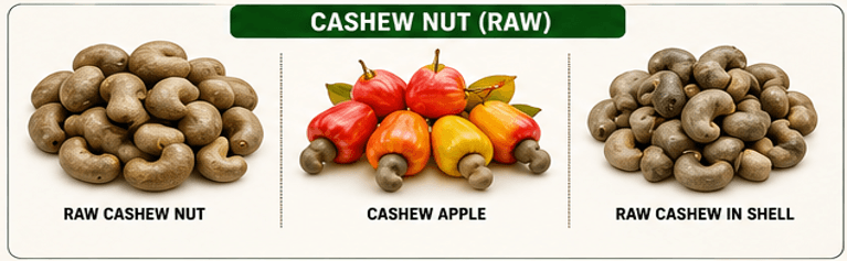 Cashew Nut (Raw)