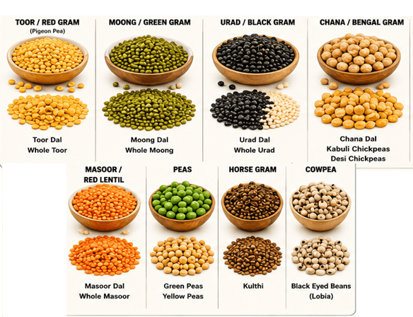 Types of Pulses